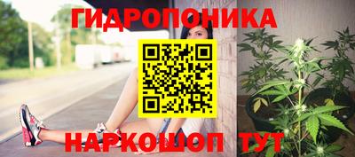 ALPHA PVP Канаш
