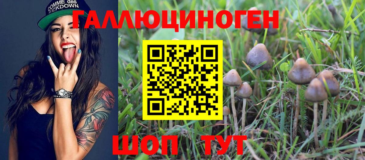 Красный Сулин  где купить   Вход с VPN  Псилоцибиновые грибы мицелий 